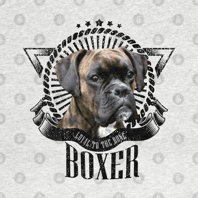 Boxer dog by Nartissima